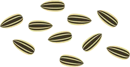 sunflower seeds.webp